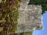 image of grave number 709637